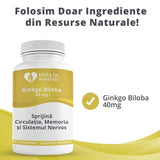 Ginkgo Biloba