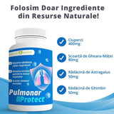 Pulmonar Protect®