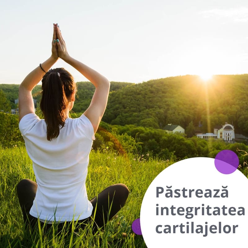 Artro Mobil® - dozadesanatate